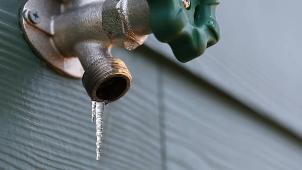 Best Leak Detection Services  in Quitman, TX